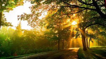 秋天风景壁纸唯美图片大全