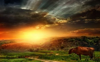 草原落日余晖美景桌面壁纸下载