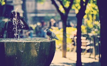 高清街道图片 街道唯美的风景图片高清