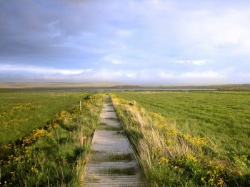 通往幸福之路高清风景桌面壁纸