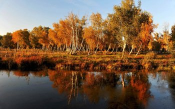 新疆秋色风景图片电脑壁纸