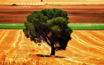 秋天风景图片免费电脑主题壁纸