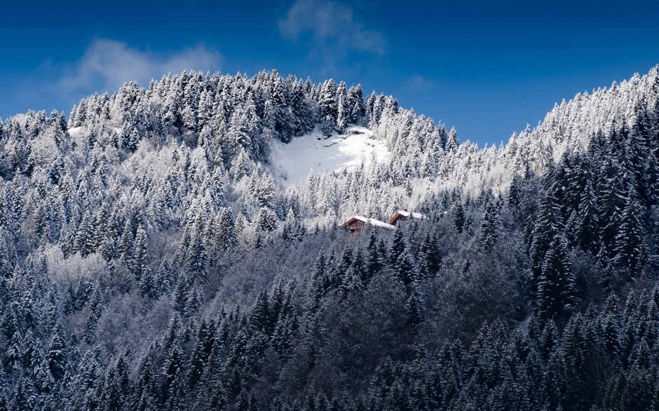 美丽的雪景图片大全 冬天里杭州西湖美丽的雪景图片