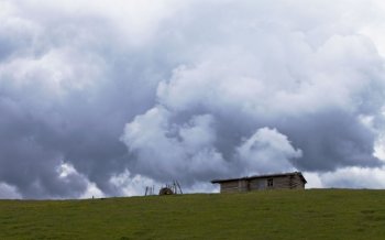 绿色草原壁纸下载