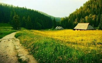 乡间的小路上风景桌面壁纸下载