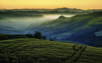 唯美绿色草原电脑壁纸