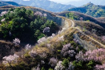蟠龙之春快乐旅拍