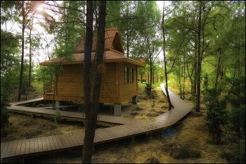 清幽景区森林木屋图片