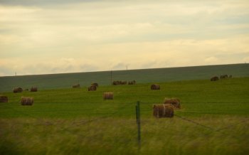 呼伦贝尔草原黄昏