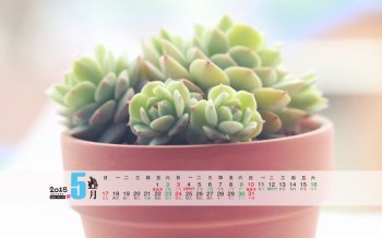 2015年5月日历壁纸桌面