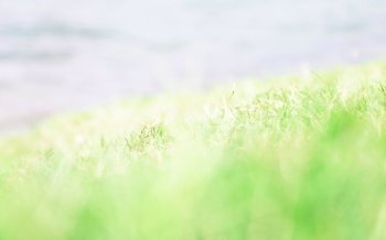 简约晴朗的绿色草坪清新高清壁纸