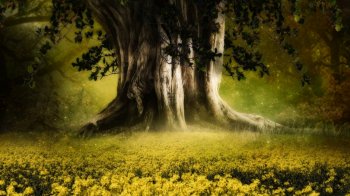 精选清新养眼的自然风景电脑壁纸