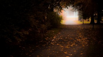 欧美房屋前的落叶小道景色桌面壁纸