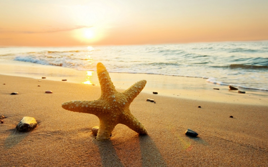 落日海边雪景图片 海边落日唯美紫霞图片