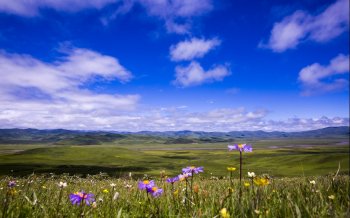 亚洲风景若尔盖大草原电脑桌面壁纸下载3