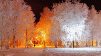 雪景高清唯美图片大全 静谧唯美的雪景高清图片