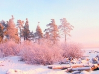 冬天最美的雪景图片 唯美的冬天雪景精选图集