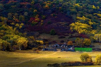 张北坝上草原风光图片 金秋坝上草原风光图片欣赏