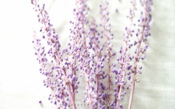 浪漫夜景唯美图片 摩天轮唯美浪漫图片大全