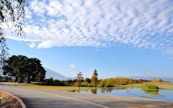 云南洱海夜景图片 云南大理双廊洱海神光图片