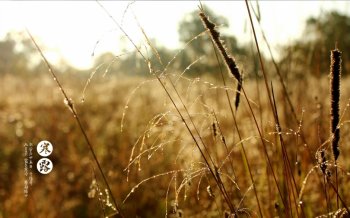 二十四节气之寒露高清桌面壁纸下载2