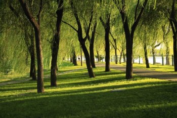 发几张颐和园的照片。请各位指导。