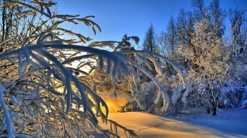 冬季皑皑白雪唯美壁纸