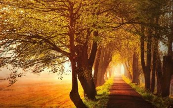 唯美意境风景图片电脑宽屏壁纸