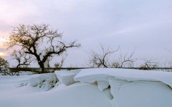 冬天的雪景图片 美丽的冬季雪景唯美冬天风景图片桌面壁纸