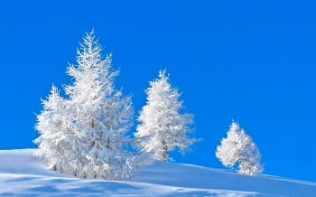 冬季雪景唯美图片大全 美丽的冬季雪景唯美大自然风景图片桌面壁纸