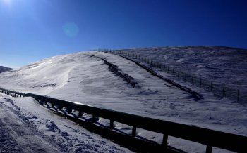 冬季树雪景图片大全 冬季美丽的雪景唯美意境图片桌面壁纸高清 第一辑
