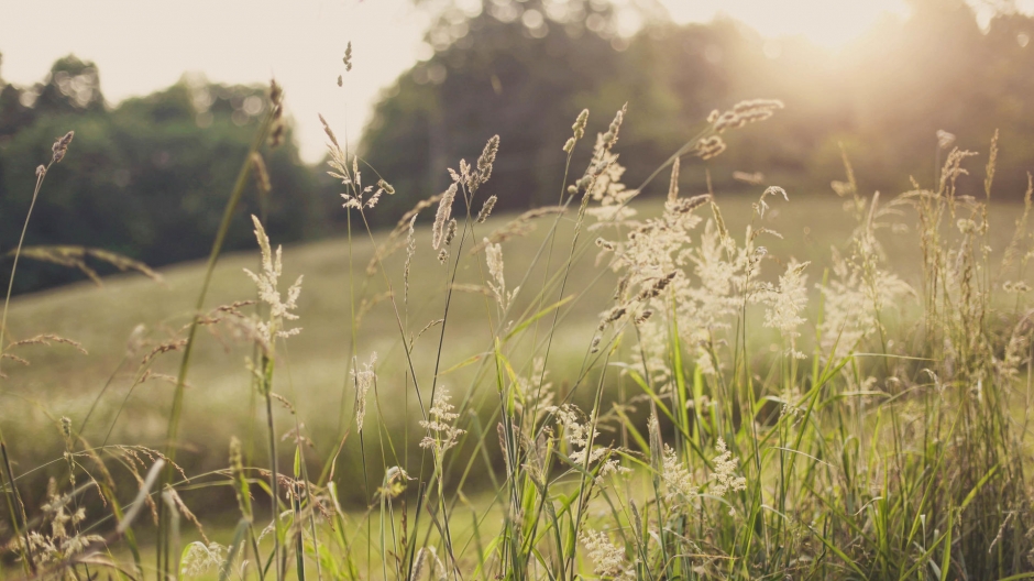 乡村自然雪景图片 精选乡村自然风光壁纸图片