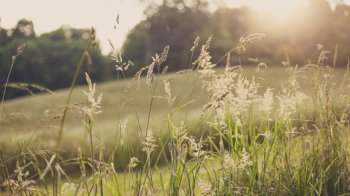 乡村自然雪景图片 精选乡村自然风光壁纸图片