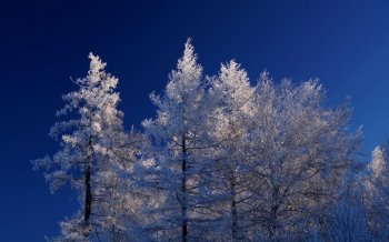 冬季河边雪景图片 冬季唯美雪景高清电脑桌面主题壁纸图片