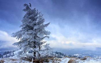 冬天房屋雪景图片 精选寒冷冬天冰天雪地唯美雪景素材图片桌面壁纸下载第二辑6P