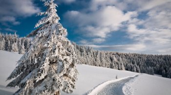 雪景图片矢量素材 冰天雪地寒冷冬天唯美的雪景高清图片素材电脑桌面壁纸下载