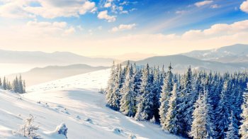 冬天北京的雪景图片 精选寒冷冬天冰天雪地唯美雪景素材图片桌面壁纸下载第二辑6P