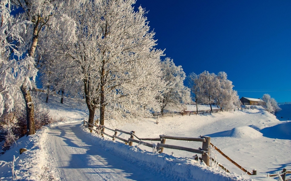 冬天树雪景图片 白雪皑皑的冬天雪景高清图片桌面壁纸