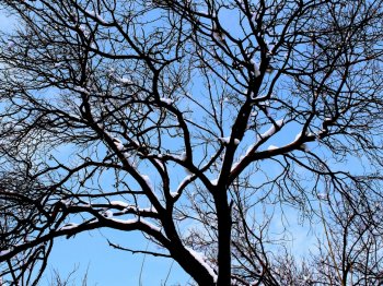 冬日雪景房屋图片 扬州冬日雪景唯美图片桌面壁纸第二辑