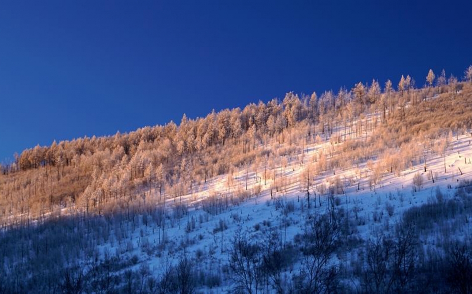 冬季雪景图片大全 唯美冬季雪景图片桌面壁纸
