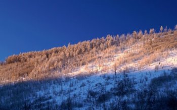 克拉玛依自然雪景图片 2015最美大自然雪景图片合集高清电脑桌面壁纸下载第一辑