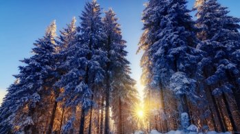 唯美高清雪景图片 冬季唯美雪景高清电脑桌面主题壁纸图片
