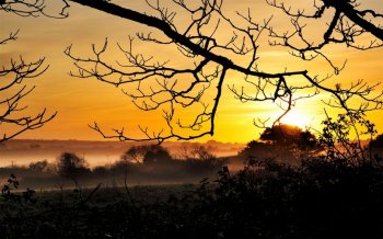 太阳雪景图片唯美 太阳花壁纸唯美图片