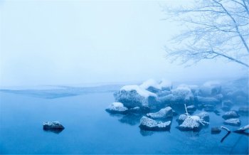 雪景高清图片 白茫茫雪景唯美图片高清电脑壁纸