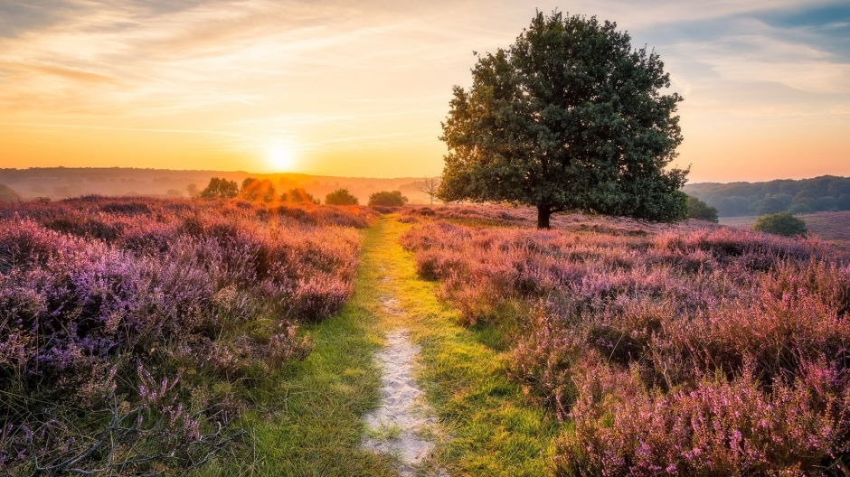美丽大自然的雪景图片 精选好看的大自然风光美丽风景图片桌面壁纸高清