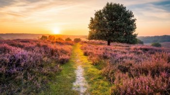 美丽大自然的雪景图片 精选好看的大自然风光美丽风景图片桌面壁纸高清