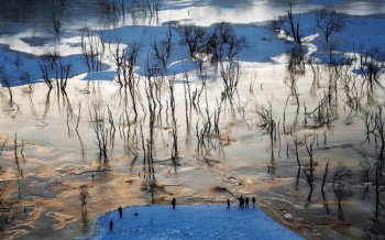 冬季雪景的图片大全 唯美冬季雪景高清图片电脑桌面壁纸下载