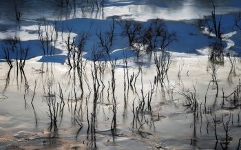 冬季的雪景图片 冬季唯美雪景高清好看的下雪图片合集电脑桌面壁纸第一辑
