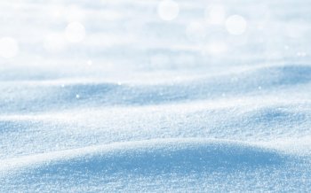 腊梅雪景唯美图片 白雪皑皑唯美意境雪景图片桌面壁纸