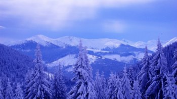 雪景图片高清 好看的冬季唯美雪景高清图片合集电脑桌面壁纸第一辑